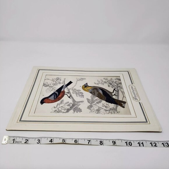 Bianchini Ferier Passereau Lyon Silk Art Bouvreuil & Gros Bec Birds Passereaux - Picture 8 of 9